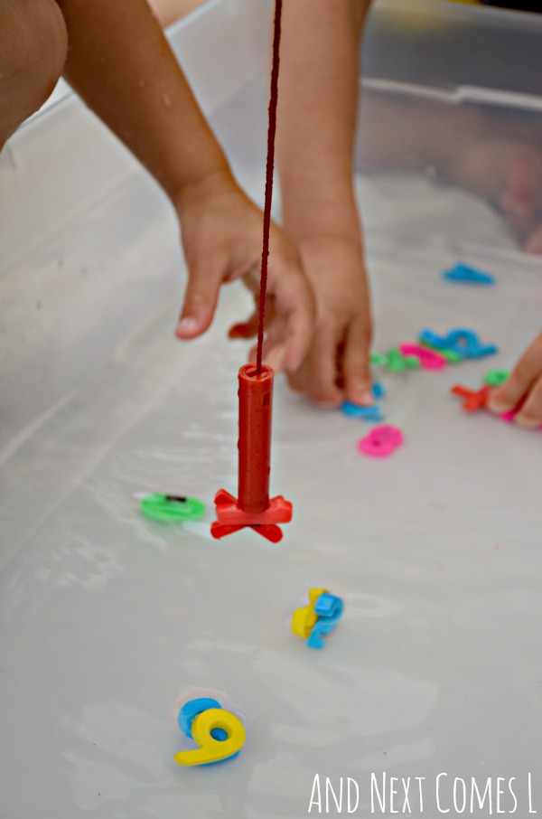 Fishing for numbers in a math themed water sensory bin for kids from And Next Comes L