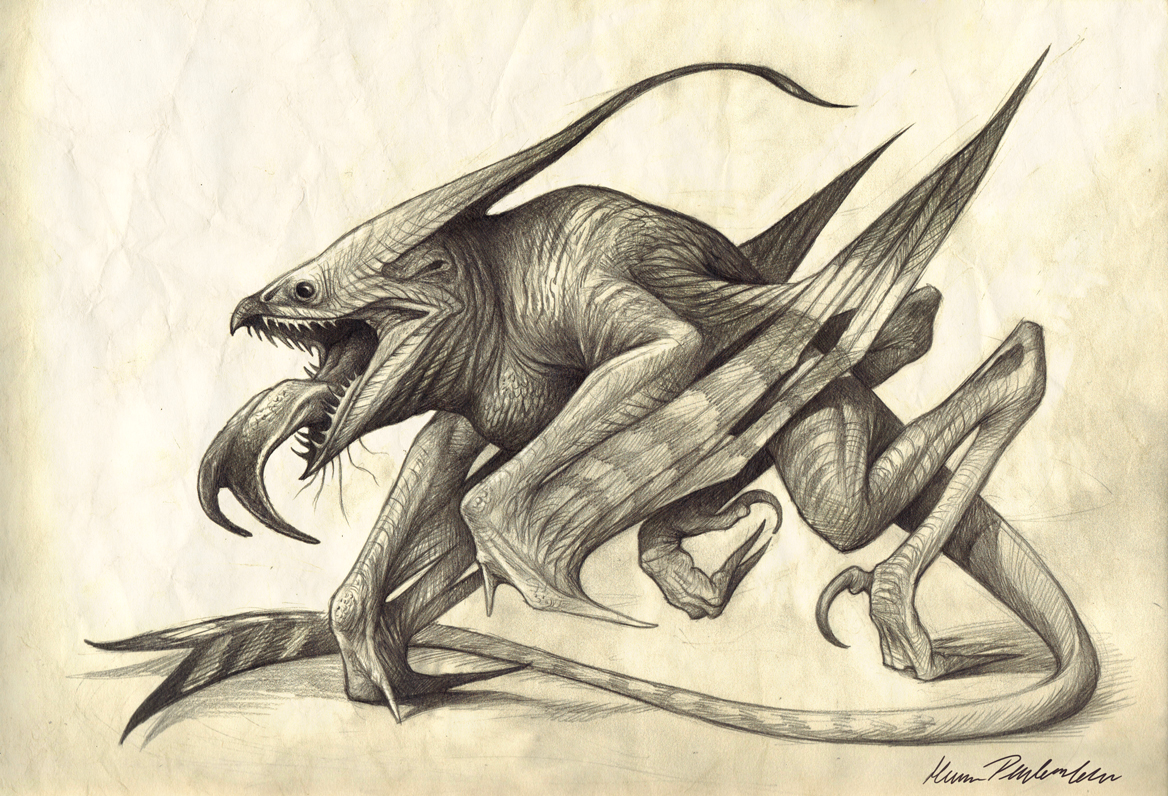 Graphite Dragons Nighthawk