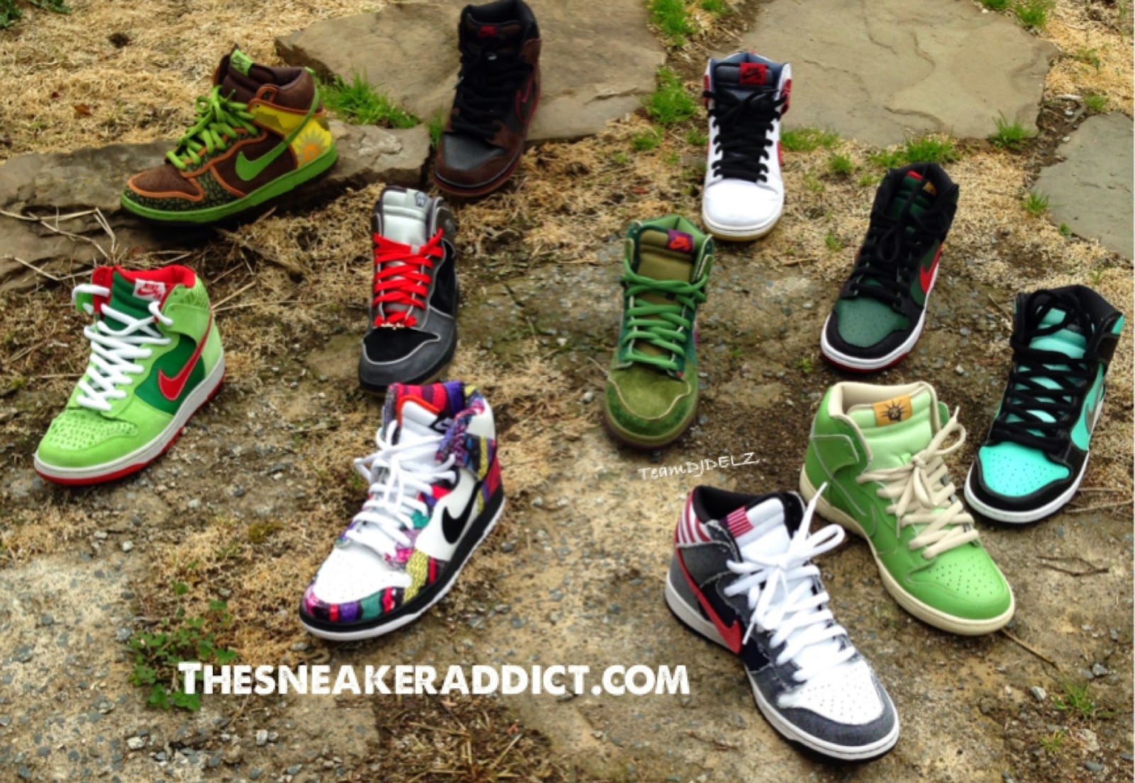 pauly d nike dunks