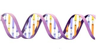 double helix dna double helix dna