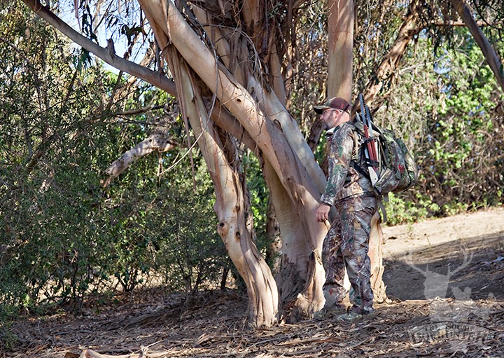 Useful Hunting Methods in Southern California Part 2 The SoCal