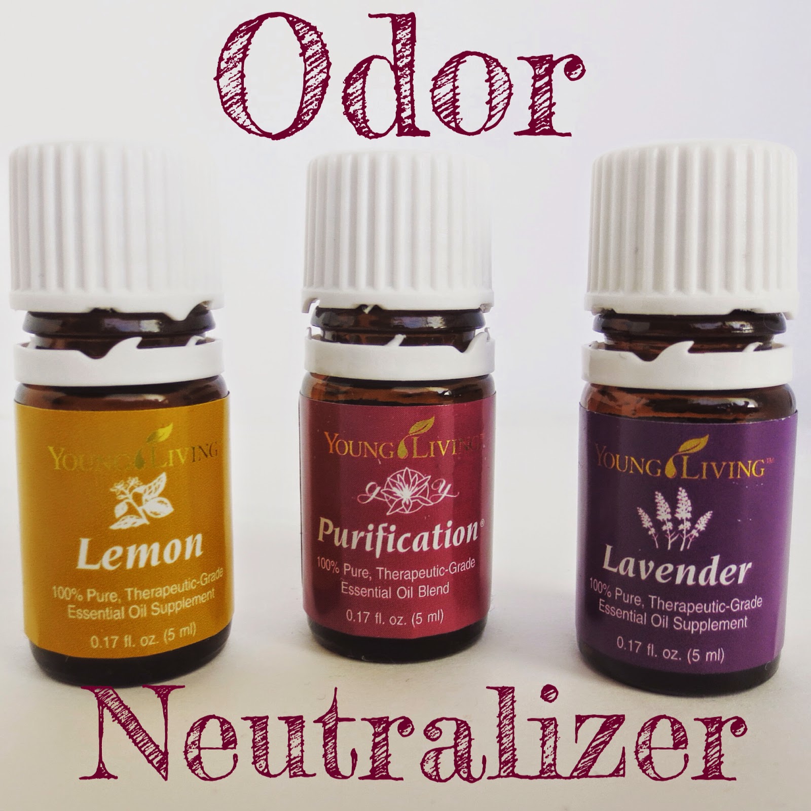 Just Around the Corner Testimonial Tuesday Odor Neutralizers