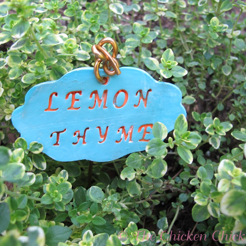 DIY Garden Markers using Polymer Clay The Chicken Chick®