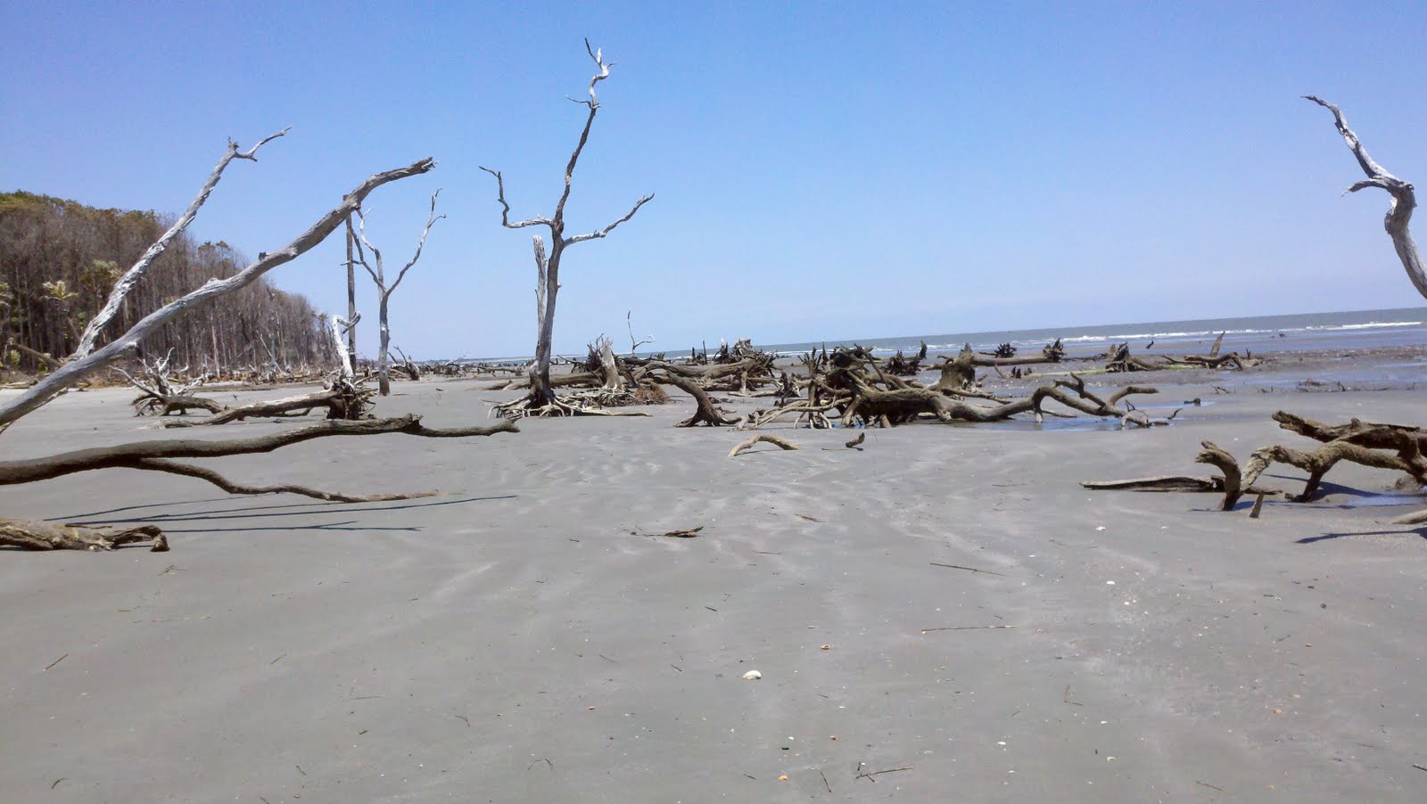 The Adventures of M/V Abreojos.....America From the Port Side The