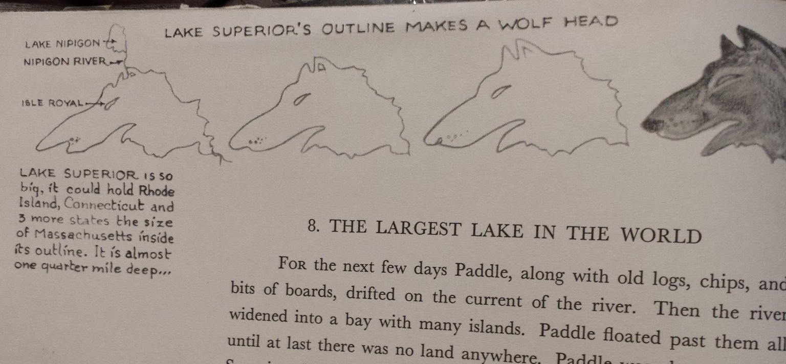 On bullshit essay 08 picture