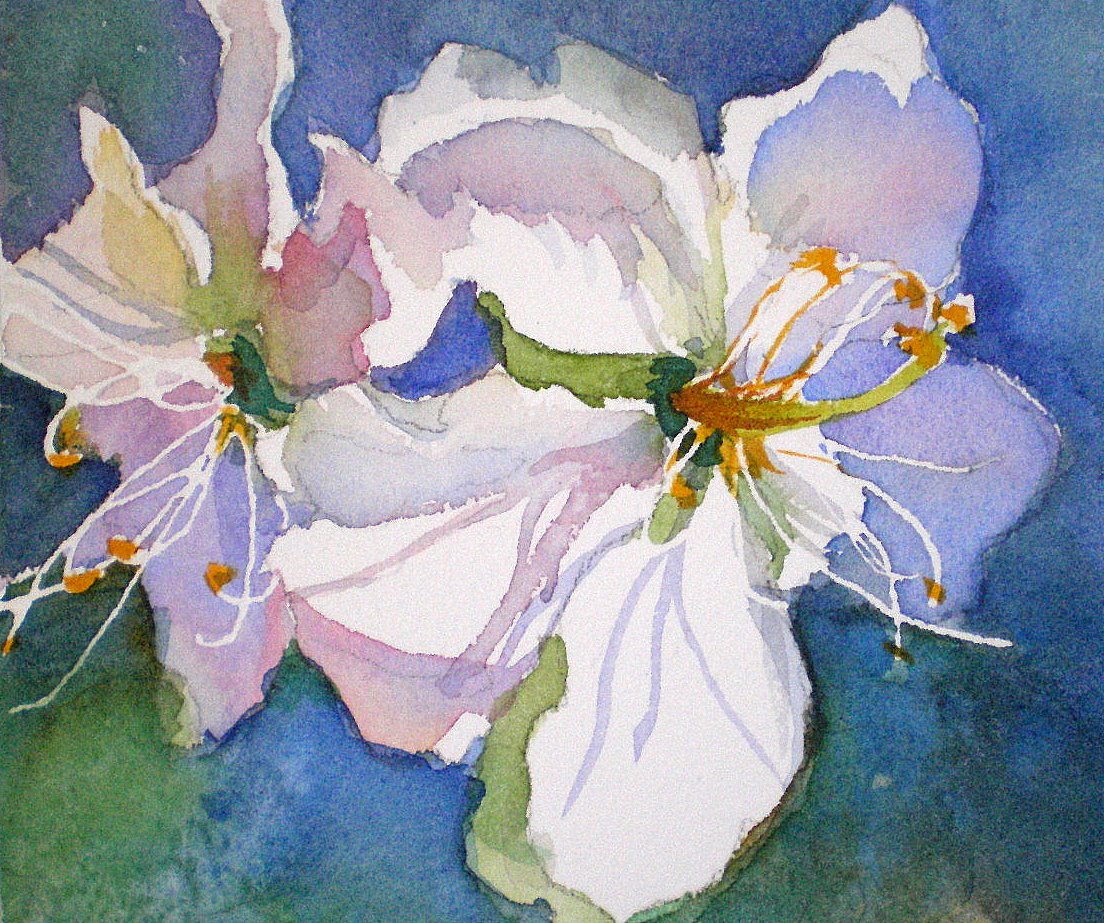 laura's watercolors favorite subjects