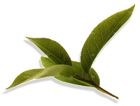 Компоненты ALT - Зеленый чай