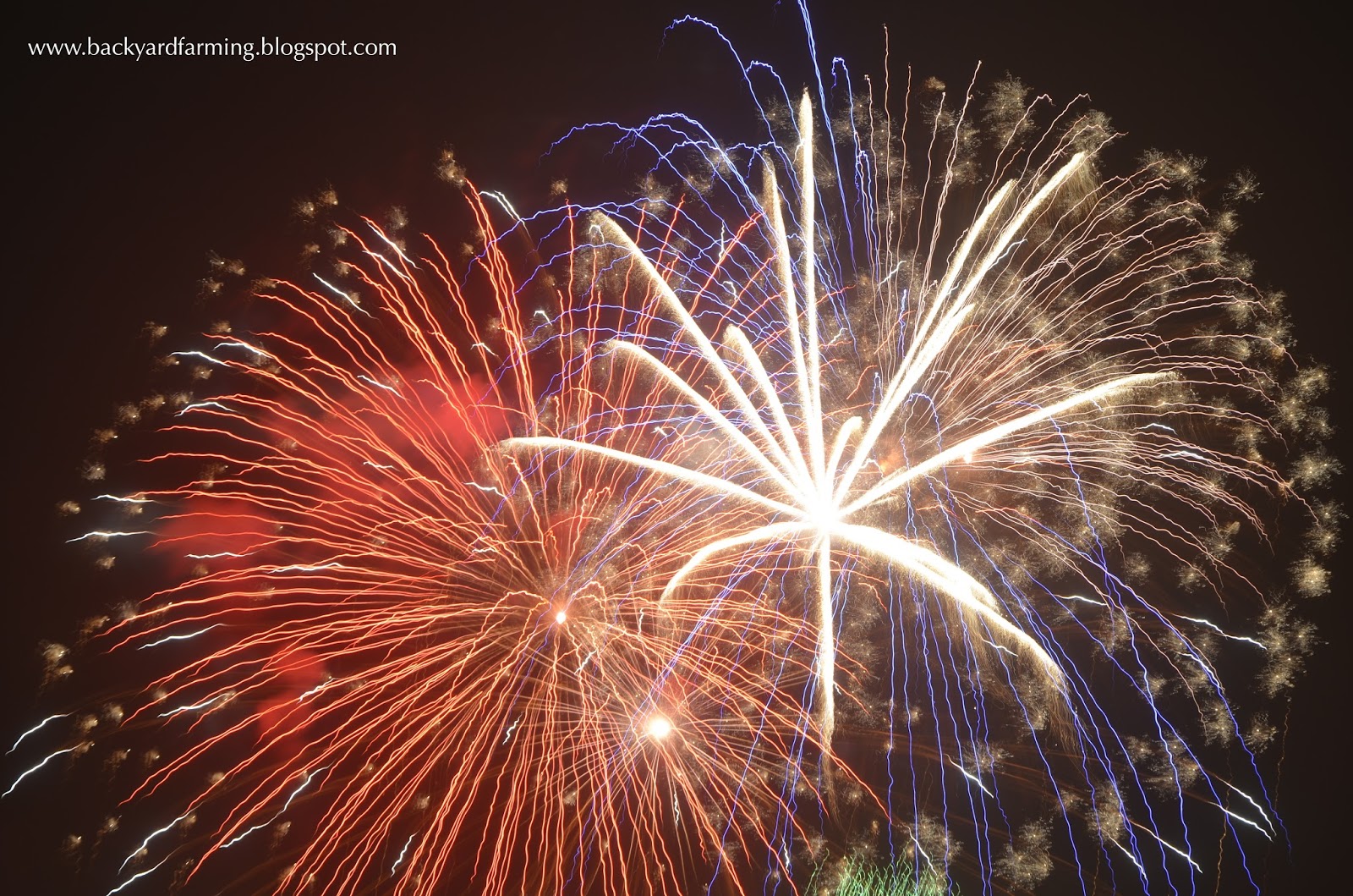 Backyard Farming Garden fireworks