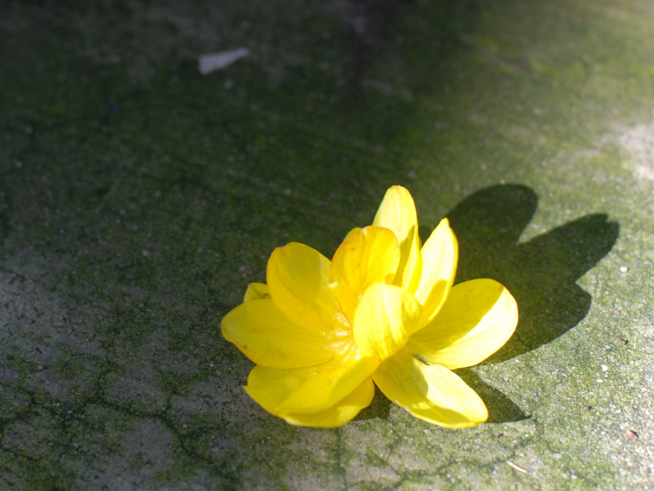 http://4.bp.blogspot.com/-4C_OfPOKiFs/TXfeJhg0D6I/AAAAAAAAI54/8pLTdeH_8Fo/s1600/mai%2B2.jpg