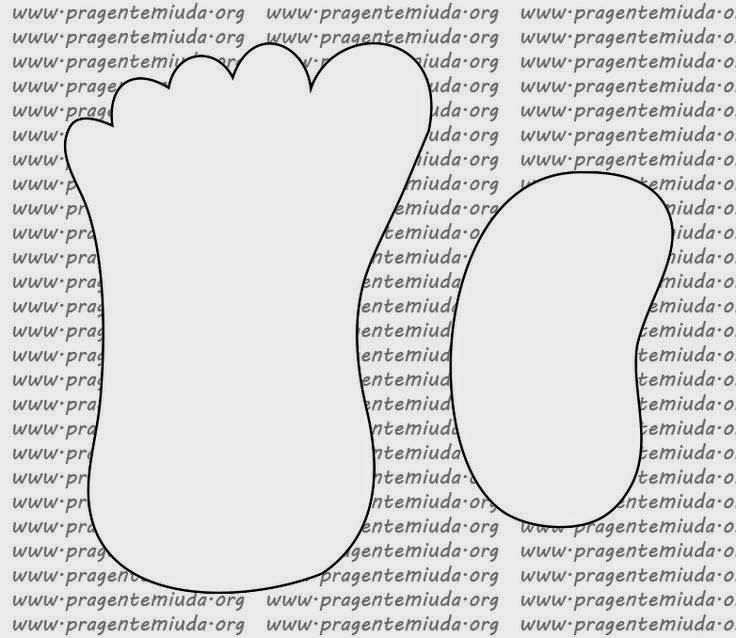 plantilla