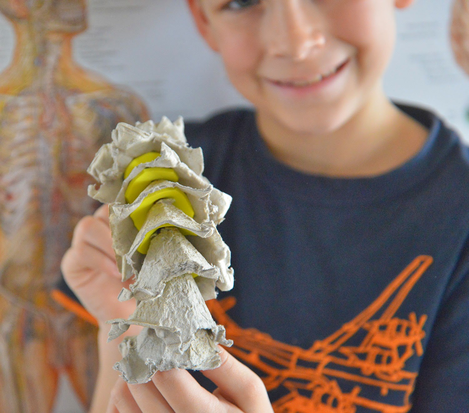 A school of fish Spinal Cord model with egg carton and licorice