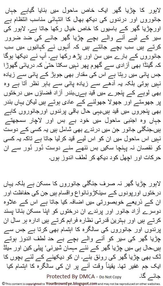 Problems Of Karachi City Short Essay In English