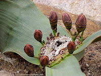 Fuente: http://farm1.static.flickr.com/139/318348286_d2e275aa5a.jpg