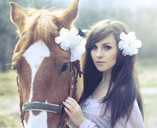 horses horse