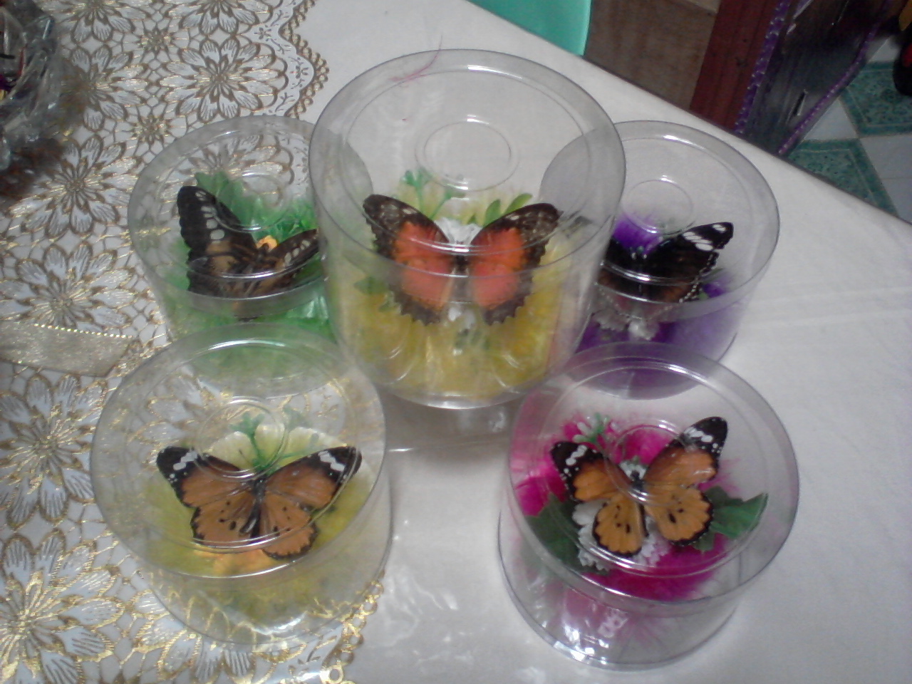 Butterfly Release for Wedding/Occasions Butterfly Souvenir Crystal