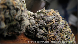 Checkmate, President Obama. Is it all kayfabe from here on out? :-D