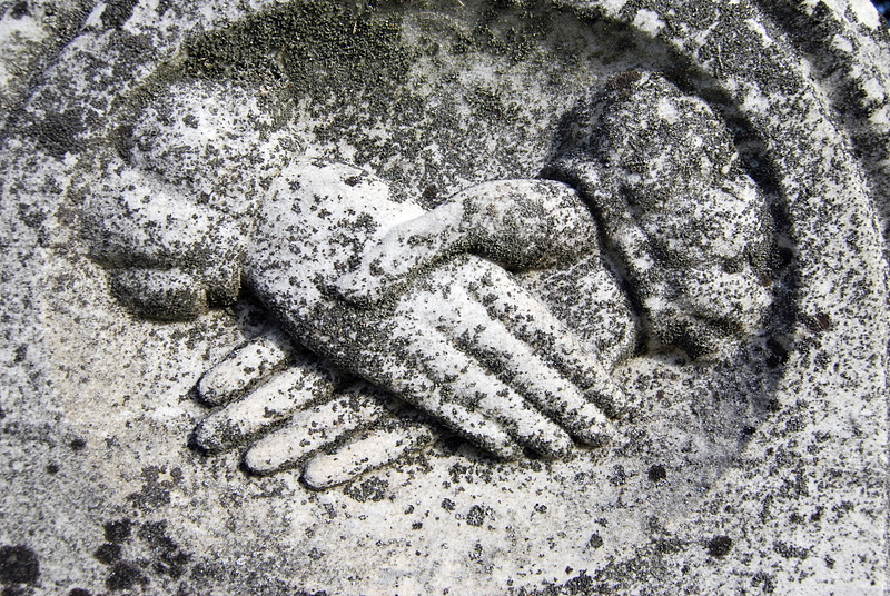 42N Observations November 2011