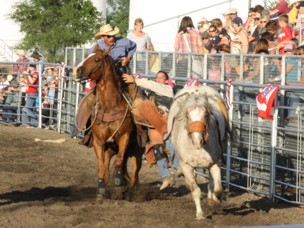 Sutherland Celebration Adds FleaMarket, Seeks Vendors