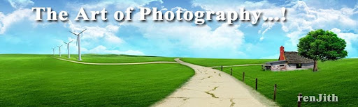 The Art of Photography !