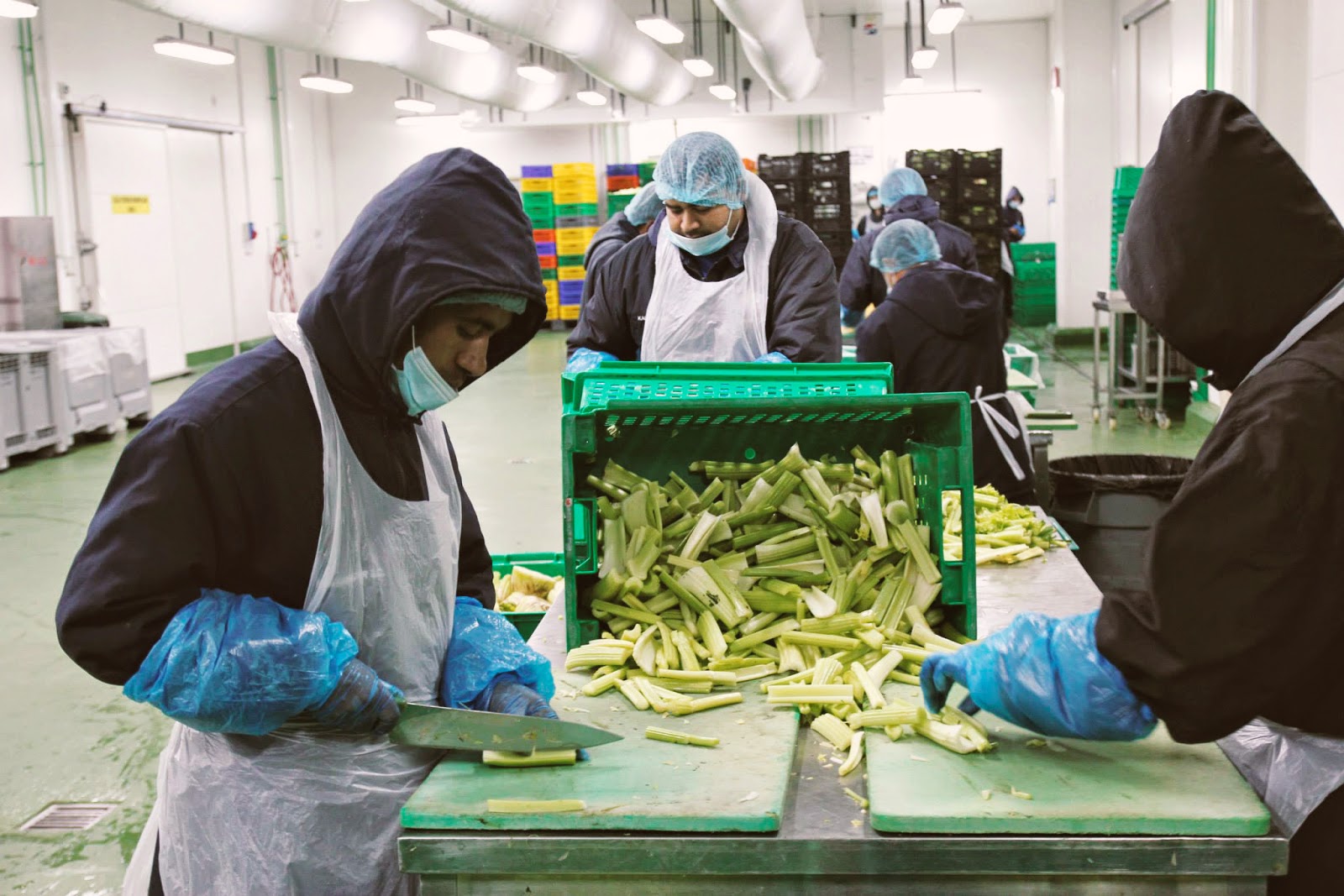 Dubai Adventures Barakat Fresh and Easy Juice Factory The Thrift