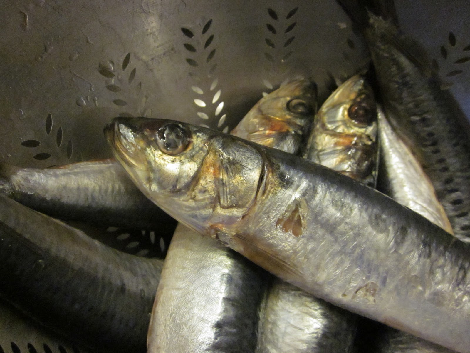 Sarde Ripiene. Stuffed Sardines.