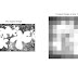 MATLAB CODE - Image Cropping