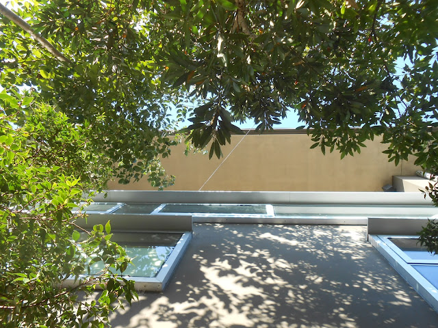 Add More Green: The Front Yard, or the Back Yard, or Which Yard is it