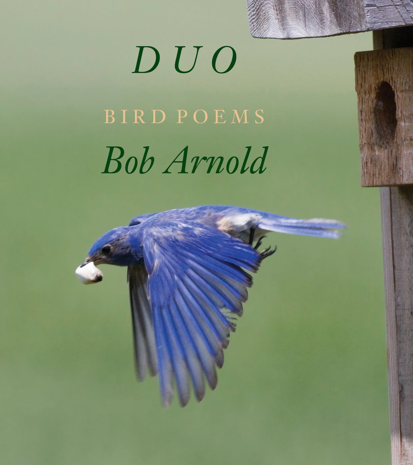 Duo by Bob Arnold — New from Longhouse   Please link to A Longhouse Birdhouse for more information
