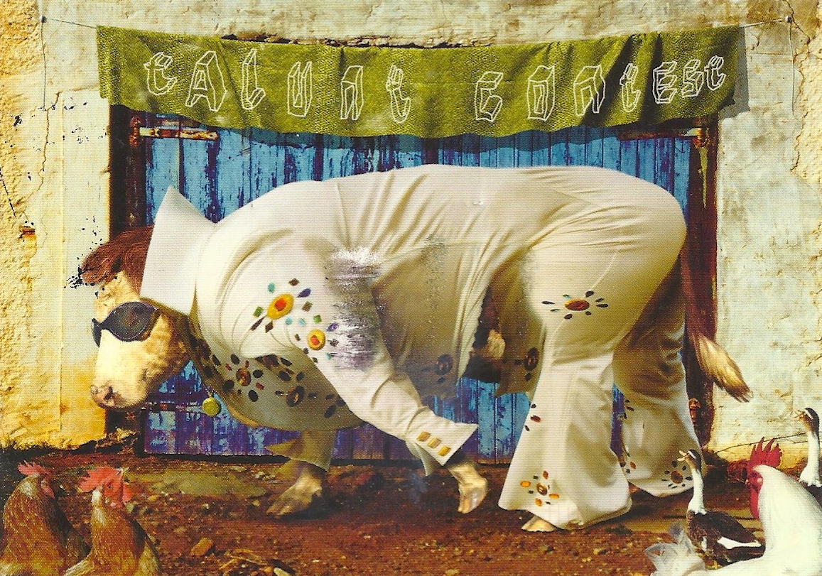 Elvis Cow