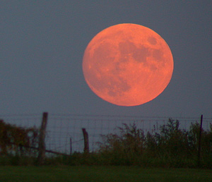 moon harvest big orange why so lunar eclipse awakenings october oct