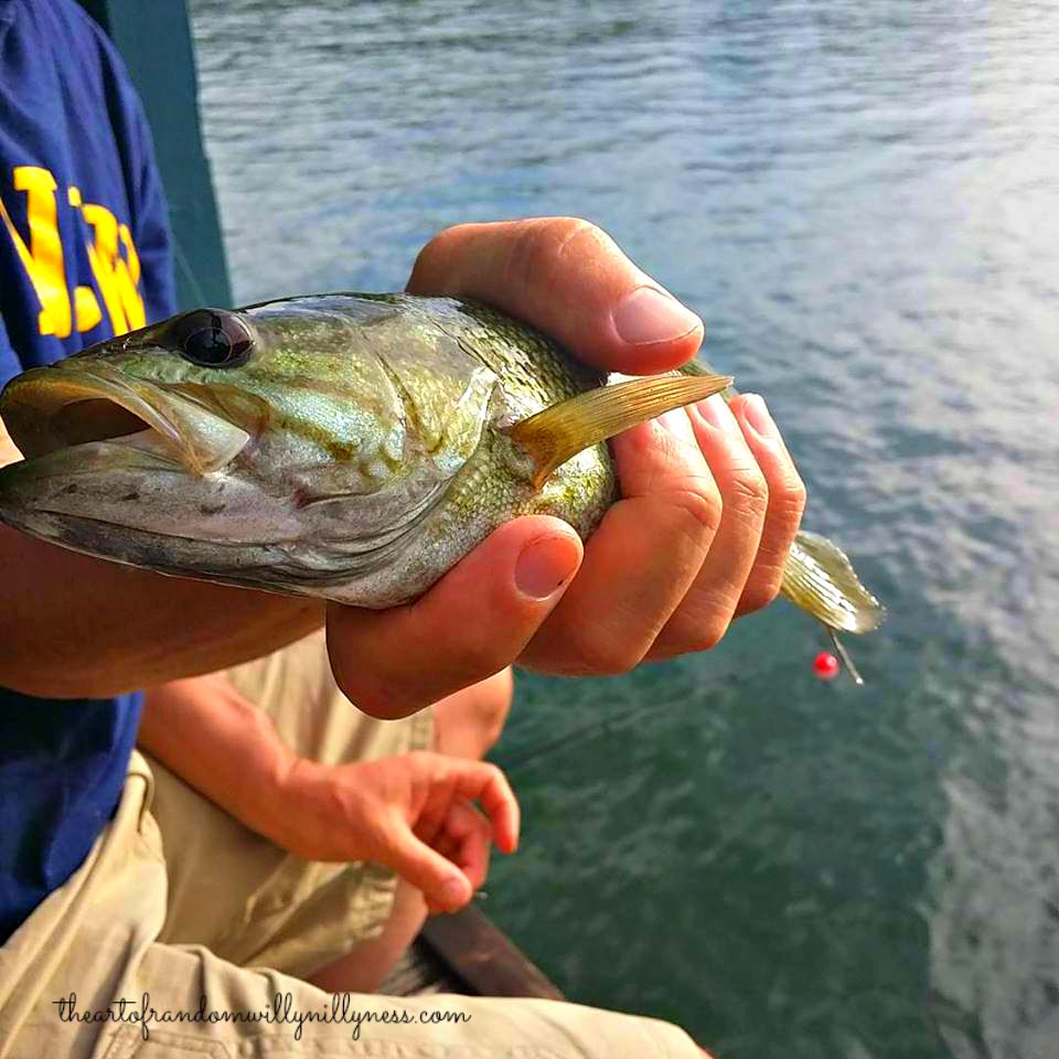 Carolyn in Carolina Even More Lake Lure NC Photos!