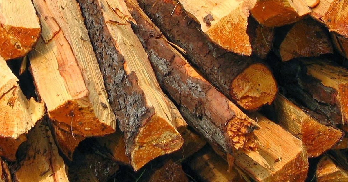 Georgia Market Bulletin Blog: Firewood Alert