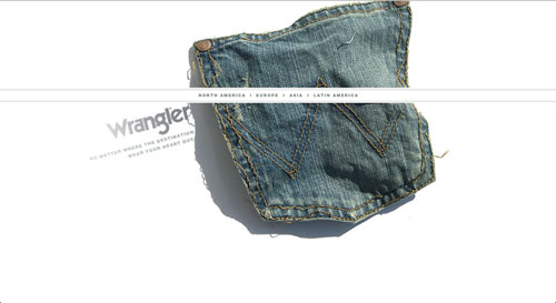 fashion website