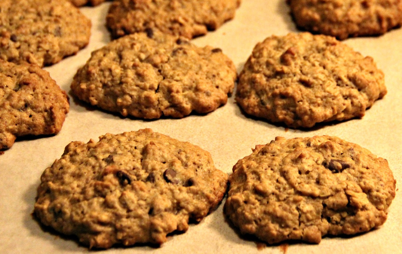 So Dang Delectable The Best Lactation Cookie Recipe