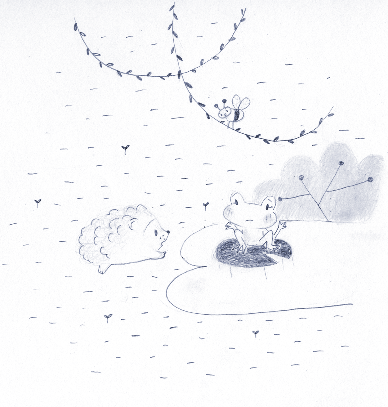 frog, illustration, ilustración, cute, hedgehog, pencil
