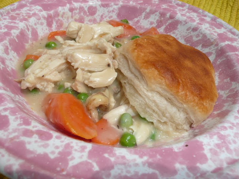 Everyday Dutch Oven Easy Chicken and Biscuits