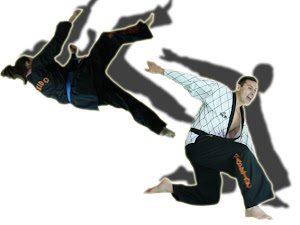 Hapkido M. Navarro