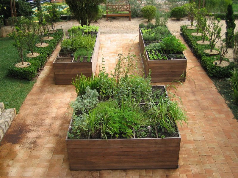 pequena horta no jardim:Hortas possíveis pequena horta no jardim:Hortas possíveis