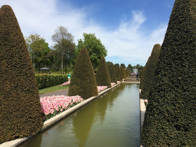 парк тюльпанов в Голландии Кейкенхоф