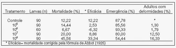 tabela - Pragas e Eventos