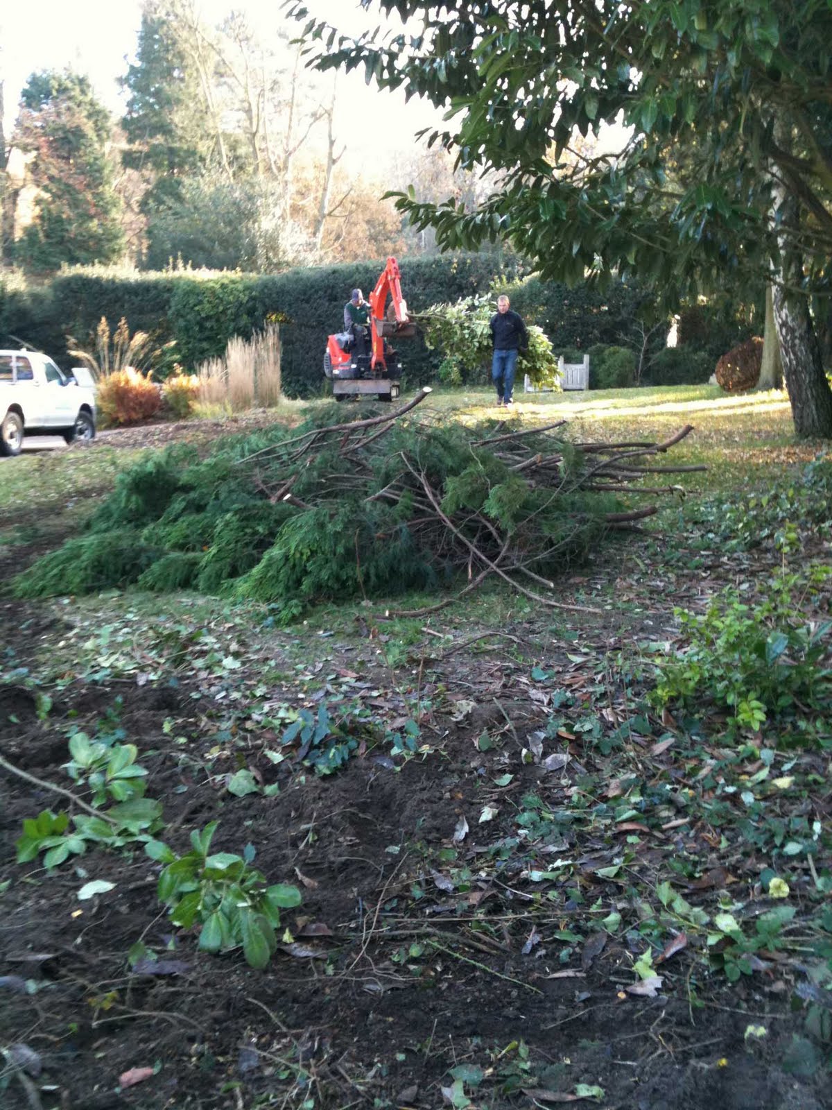 Greencube Garden And Landscape Design UK At Last My Own Garden Greencube Garden And Landscape Design UK At Last My Own Garden