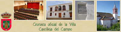 CRONISTA OFICIAL DE LA VILLA <br> CASTILLEJA DEL CAMPO