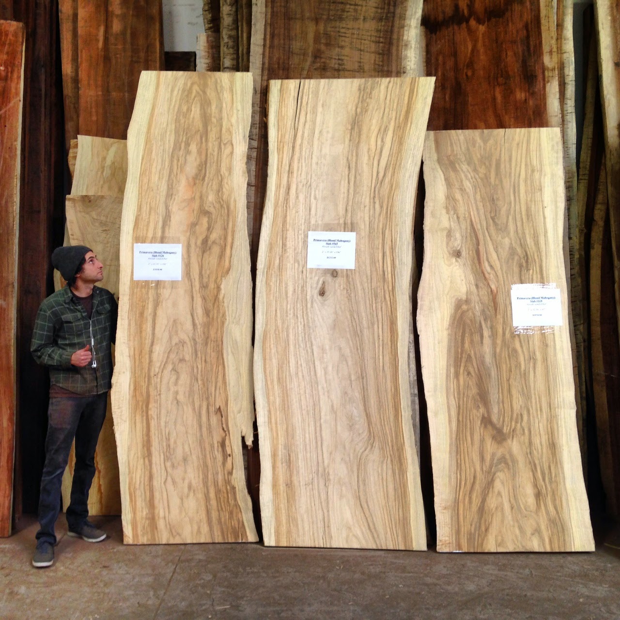 Tropical Exotic Hardwoods 3 More Sanded Primavera (Blond Mahogany) Slabs!