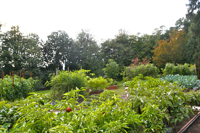 white house fall garden tour 2012