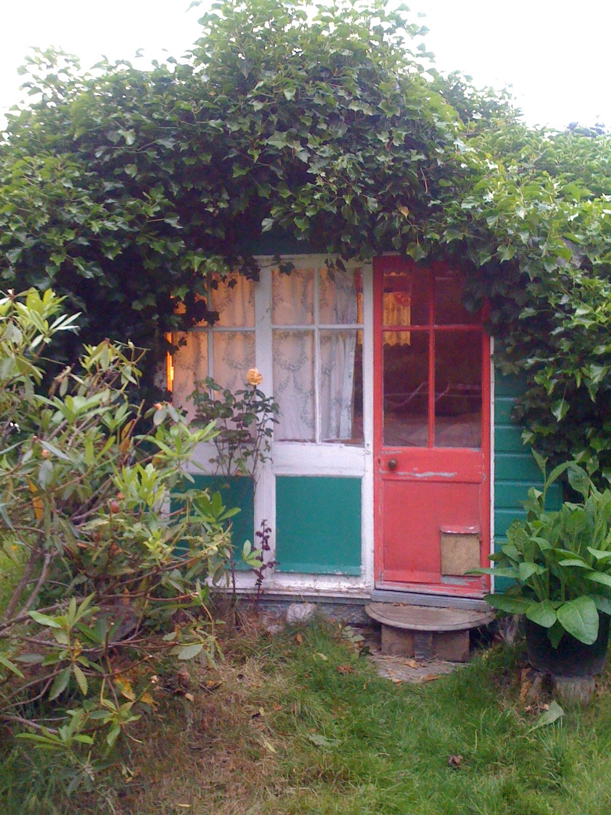 Flyer Garrick Mushroom