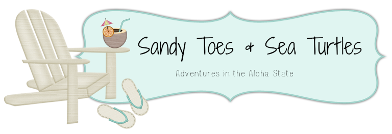 Sandy Toes & Sea Turtles
