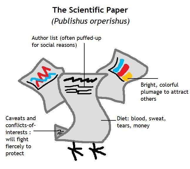 feliz Where Papers Come From