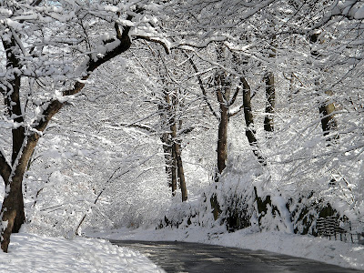 winter snow central park clip art