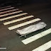 Zebra Cross Di Indonesia