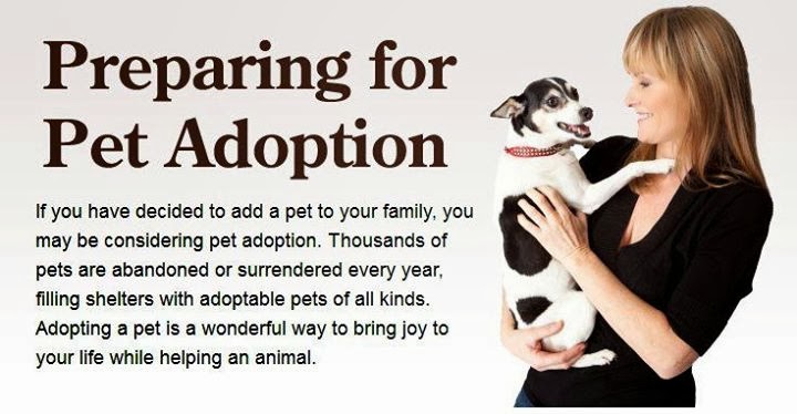 spca grassy park adoptions